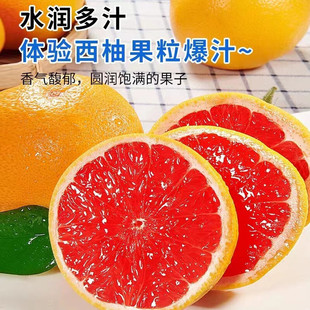 �F؛�Ϸ�����6���b�M�ڼt�ļt�����֮����Fժ���rˮ�������ְ��]