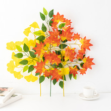 �����֦�t���~���l ���⹤�̈@���b��^�z�y��֦�Gɫֲ���Ř�֦