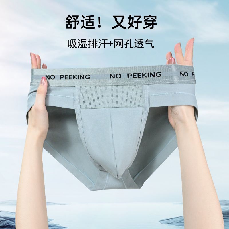 New Mesh 95 Cotton Men's Briefs with Large Pouch, Sexy, Large, Breathable and Comfortable Pure Color Pants