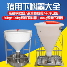 �i���Ԅ���������ʳ�۴��i�ϲ������i���w����ʳ������Ͱ�i���O��