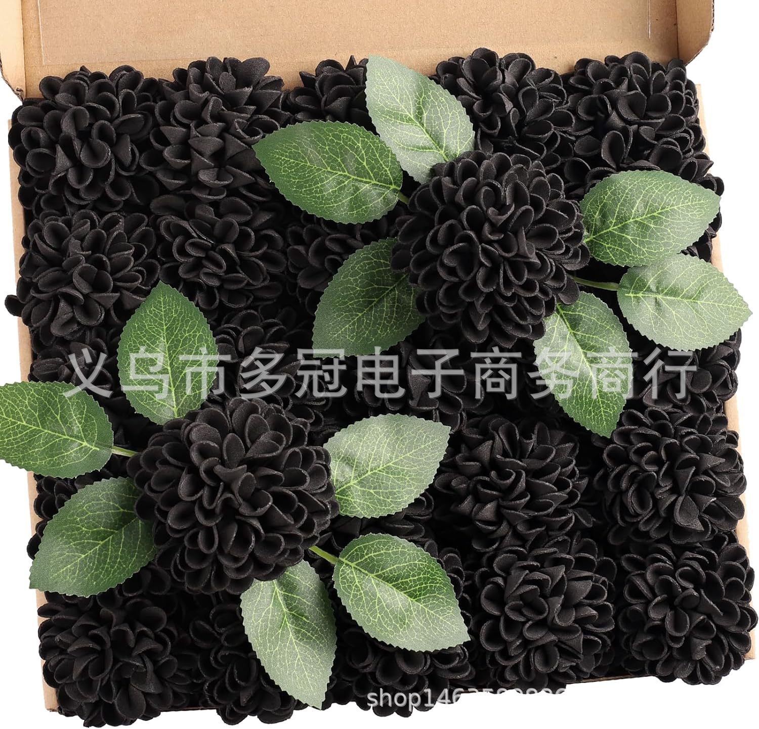 81p7TbD9-rL._AC_SL1500_