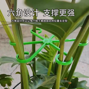 Monstera Support Rod Support Frame Branch and Trunk Gathering Frame Plant Anti-Tilting Bracket Green Plant Flower Stand Fixed Climbing Flower Trough