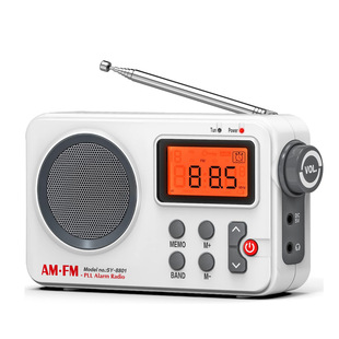 Foreign Trade New Amazon Cross-Border Wholesale Am/Fm Radio High Quality Home Classy Portable Radio for the Elderly