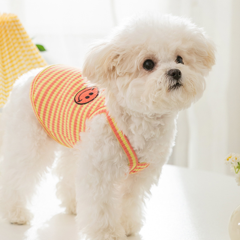Versión coreana del lindo viento primavera verano perro cara sonriente a rayas coloridas cabestrillo mascota dos pies transpirable delgado gato ropa
