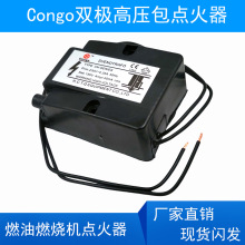 Congo点火变压器 双极高压包点火器 燃烧机高压包带线点火针套装