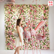 �W�tĪ�λ��@���滨��õ�廨���������w���ڒ��̈��̲���b�ˇ