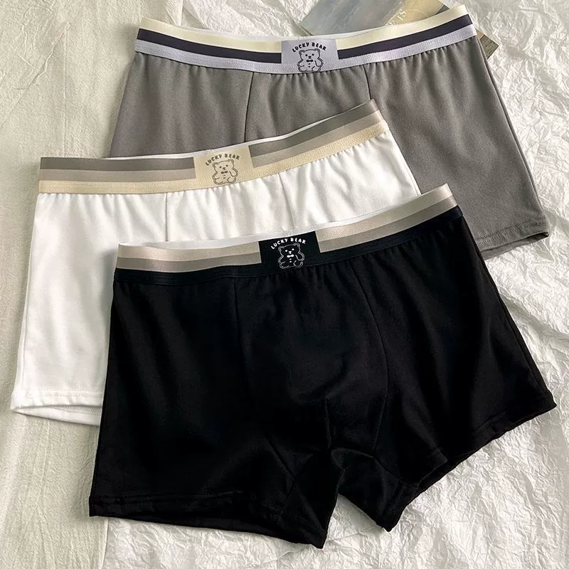Комплект из 3 мужских трусов из чистого хлопка, свободные трусы-боксеры, высококачественные мужские боксеры для молодых людей.