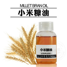 小米糠油 Millet bran oil 小米谷糠油 天然植物小米胚芽油厂家