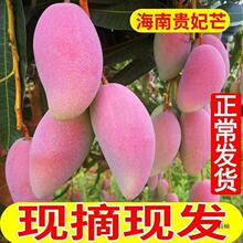 �����F��ââ��10������rˮ����������������������̨â�����