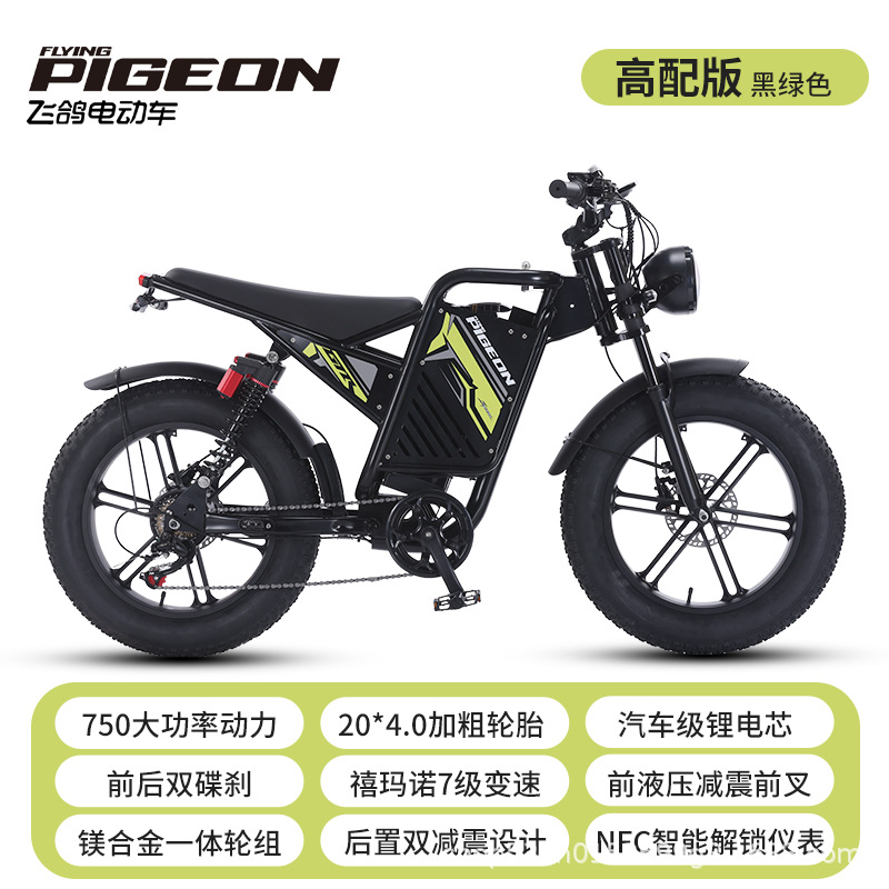 Bicicleta eléctrica de neumáticos anchos bicicletas eléctricas EBiK motor eléctrico de doble amortiguación bicicletas eléctricas de doble tracción