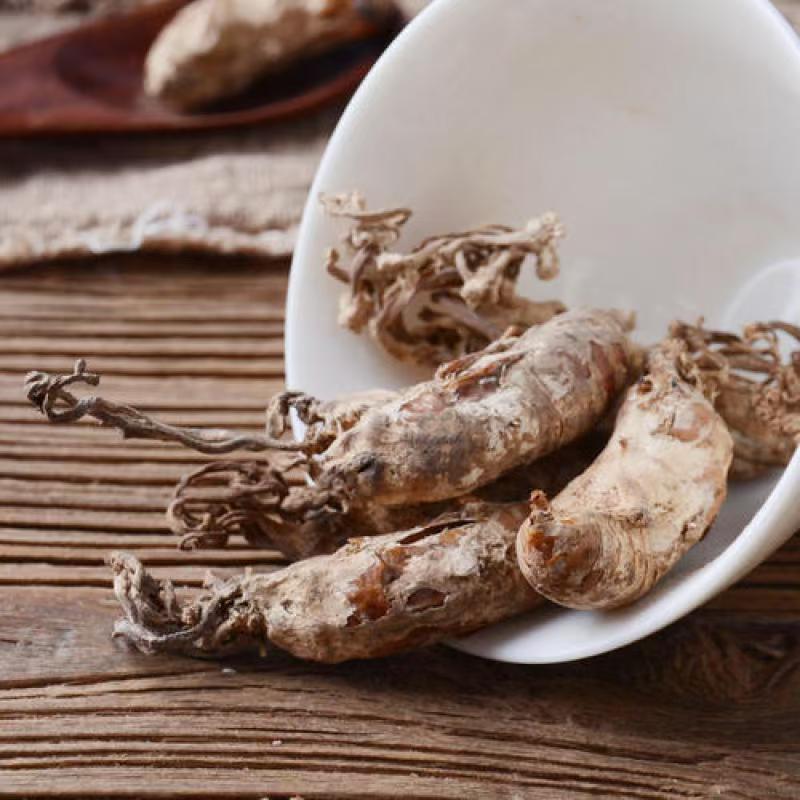 Jin Chan Hua (Cordyceps cicadae) — Dried Food-Herb Fungus for Decoction & Soup preparation