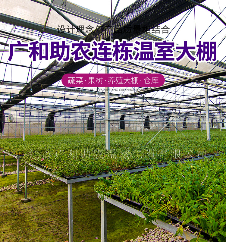 阿里连栋大棚详情页_01.jpg