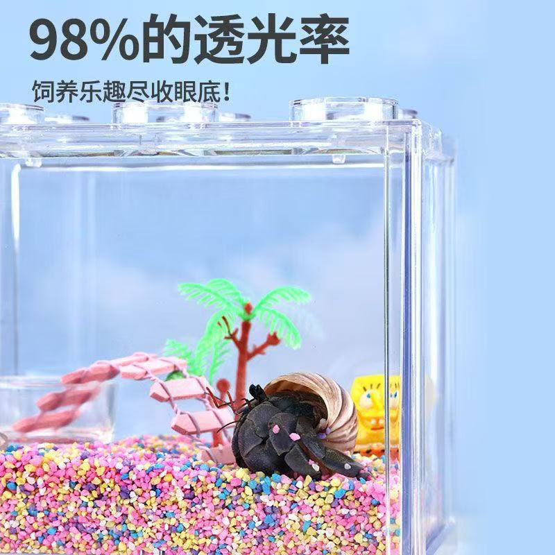 寄居蟹摆摊饲养套装套迷你造景小套盒好养易活学校夜市饲养套装|undefined