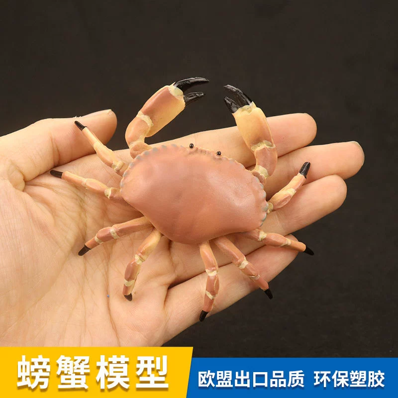 Realistic marine plastic cognitive minifigure, simulation modeling for children, bread