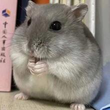 ���BС�}������z���ς}�����y�������̲蹫�Ż��}���һ����H