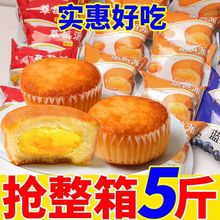 ���䵰�S�ɊA������I�B��͵����c�ľW�t ��ʳ�������l�r���]