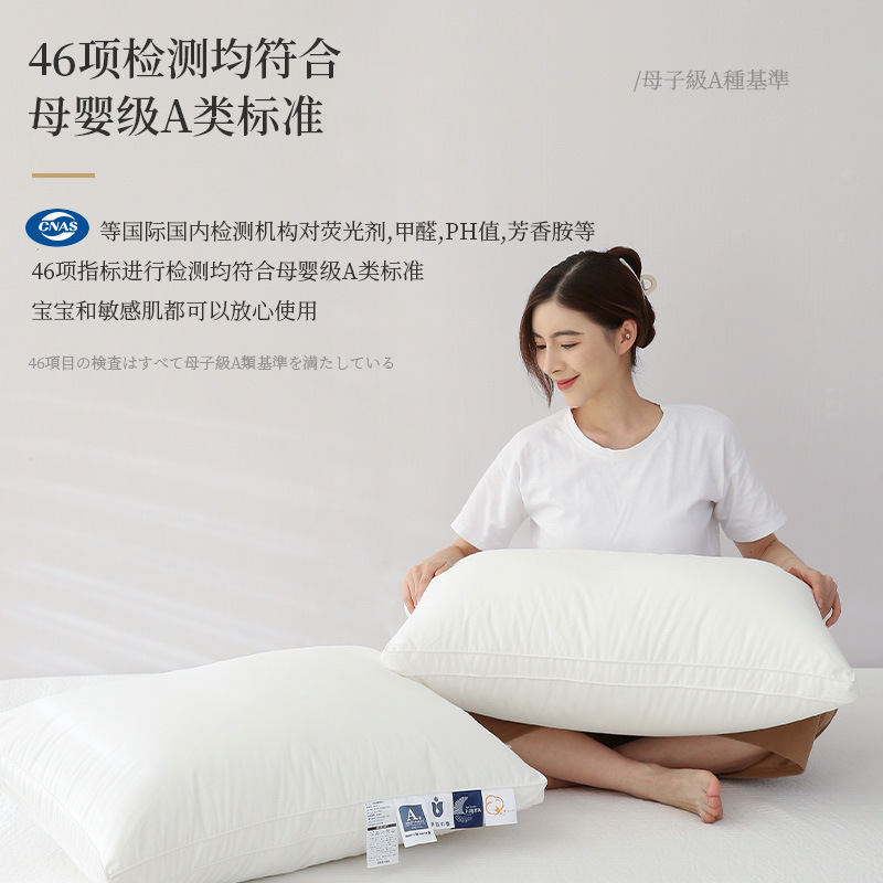 Reprehenderit qui in ea