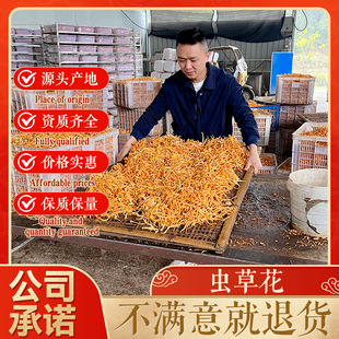 �x�ݻ���؛�Ų݁y�������^�����خaԴ�^�S�ҹ���ֱ�N���l