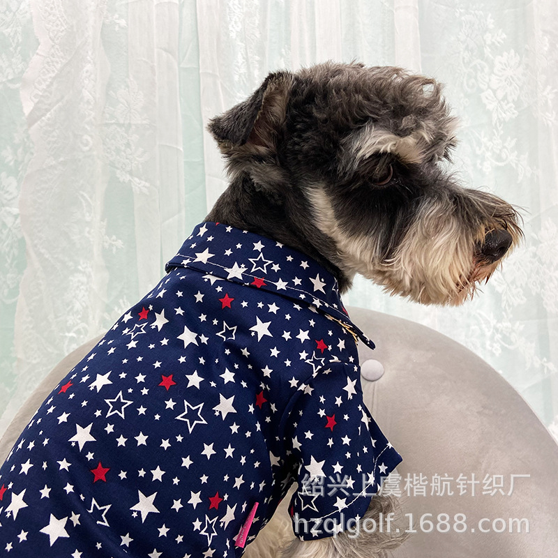 ����̩��ѩ������С��Ȯ������װ���ǻ��Ƴ����������ķ�ɹ����