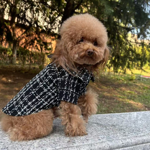 Pet clothes, small scented spring and autumn style, anti-hair loss, cat clothes, Bichon Frise, Corgi, dog clothes, medium-sized dog wholesale.