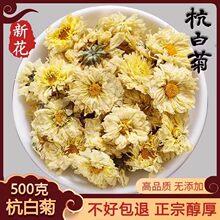 ��Ʒ�ջ���500g̥����ɢ�bͩ�l���ں��׾ջ����ջ��較��Ȼؕ��