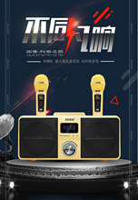 SD309无线蓝牙音箱手持麦克风双人合唱K歌机一体台湾爆款SDRD