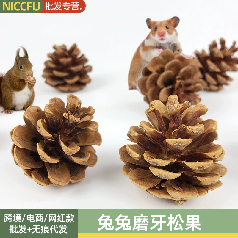 NC домашнее животное молярный сосновый конус Кролик Хомяк Тоторо молярный Золотой медведь цветок ветка мышь молярная игрушка укус маленький сосновый конус