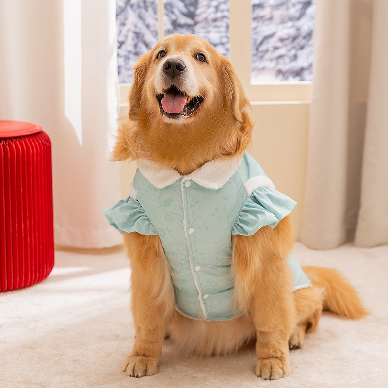 Otoño y invierno perros chinos abrazadera de algodón perros grandes de cabello dorado perros grandes Tang vestido de ropa de mascota Samoa dos pies