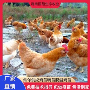 ������Ʒ�u�̺���u�����S���u���������_���u���u����ھG�����u