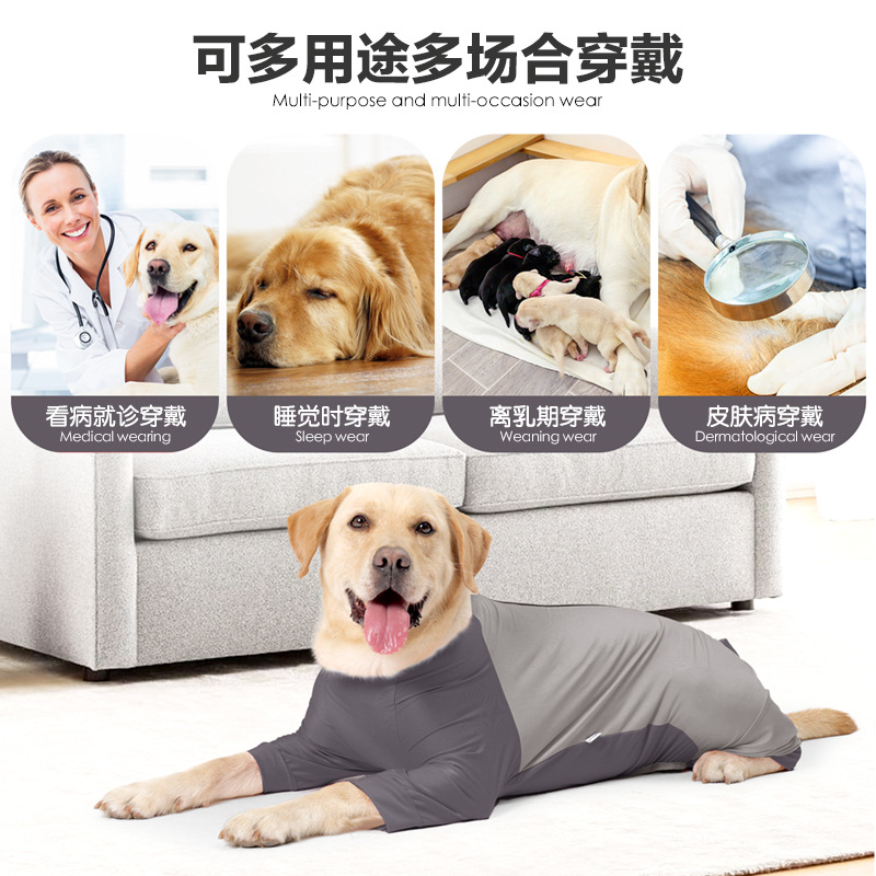 Cross-border 2024 New Dog Clothes Summer Four-legged Clothes Zipper Breathable High-elastic Small and Medium-sized Dog Pet Clothes
