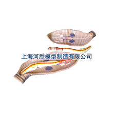 ������ģ��