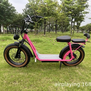 �ɶ���48V1000W늙C늄ӻ���܇����܇̤��܇�Ħ�羳����