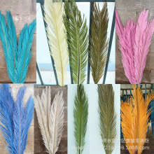 批发铁树叶婚庆场景插花酒店装饰装饰墙面铁树叶艺术创作