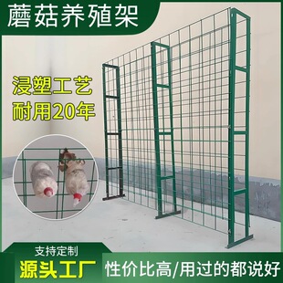 ʳ�þ��W��䓹ܷNֲ���Ӵ���ƽ���㹽�l�����Nֲ�W������Ģ���WƬ
