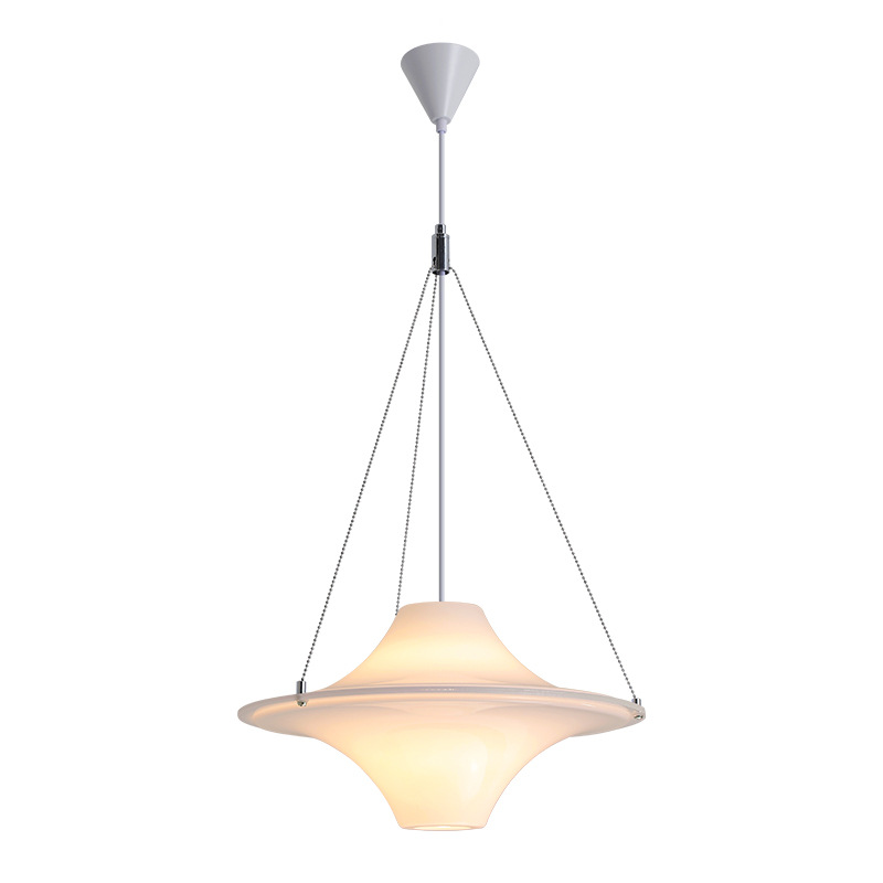 Lámpara de restaurante de estilo francés, gaviota, lámpara de la isla, estudio, platillos voladores creativos, lámpara de atmósfera, lámpara de montaña, 194L