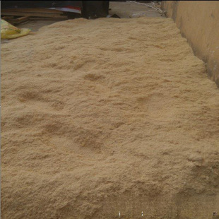 ľ���ĩ�δ���ĩ��ľм����ɢ�bľ���ľмľ���ٻ���ľ��ľ��