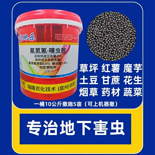 ���ؘ�2%���������x���w�����º��xϓ󩚢�x������t�홉������x