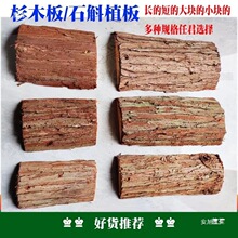 mʯNֲľ厧ƤɼľľƤʯ廨ʯ