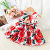 Summer dress, skirt, children's summer clothing, children's clothing, suitable for import, flowered