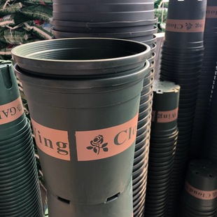 �Ӂ��� �@ˇ���� �҃�����N���N�ˈA�λ��軨��Ӽ��b���������