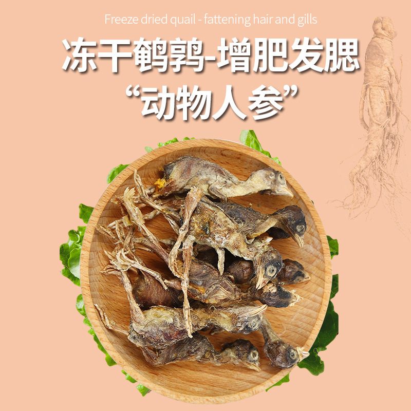 Freeze dried cat snacks: Quail, Freeze dried cat snacks for nutritional gain, cheek development, calcium supplementation, pet dogs, adults and infants, Freeze dried cat food