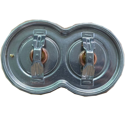 Applicable to SCANIA Thermostat