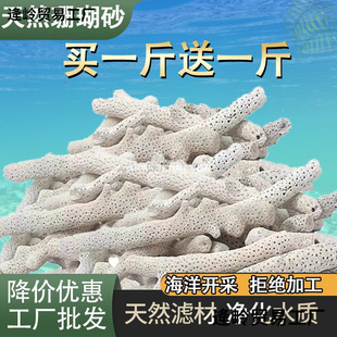 �~���^�V������Ȼɺ���ǵ�ɰ����ɺ��ʯ�쾰�V���\���~��ɺ��ɰ