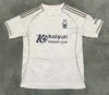 2526 Dinghan Forest Away Field