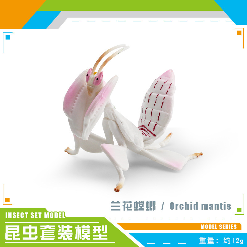 Transfronterizo simulación insecto modelo animal HOJA DE Sishi hoja muerta Mantis hoja gigante orquídea Mantis decoración de escritorio
