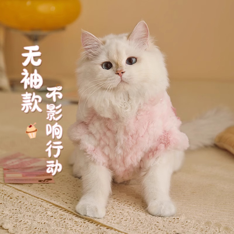 Ropa de invierno para gatos, muñecas de pelo para gatos, gatos, mascotas, gatos, invierno, ropa cálida para gatos, invierno