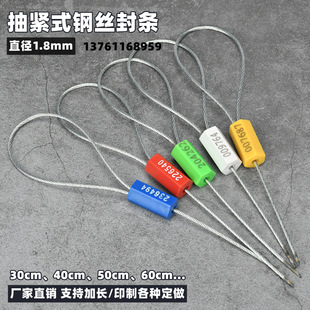 Disposable Tight Steel Wire Seal Container Coal Tanker Seal Lock Anti-theft Seal Container Lead Seal Tie