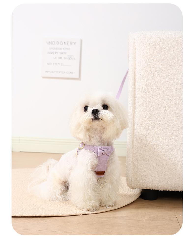 Durable Dog Harness And Lead Set With Seat Belt For Pet Safety_voghion.com