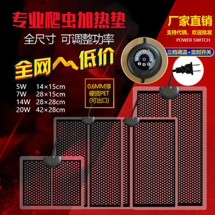 7�n���r�羳���l����l�ӟ�|���x������B���~�׼Ӝ؇��W��Ӣ��