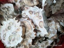 ؛V  ǌ ȫV ȫ V ɢb500